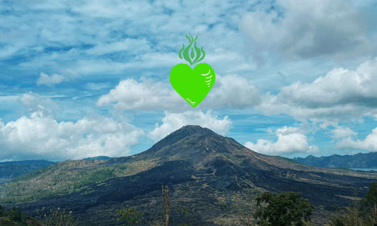 Why We Choose Slow & Steady